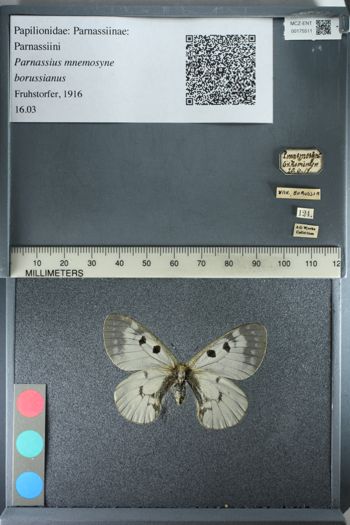 Media type: image;   Entomology 175511